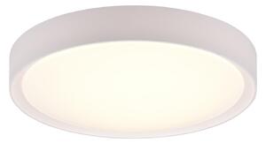 Plafoniera da Interno a LED in Plastica Bianco