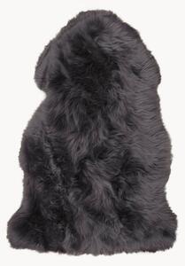 Pelle d'agnello Ovis