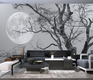 Carta da parati Cielo, luna e mondo, Carta da parati Natura, u19208 : Uwalls.it