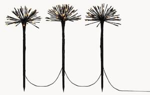 Set di 3 lampade da giardino a LED Pusteblume