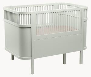 Lettino estensibile in faggio Baby & Jr., 70 x 110/150 cm