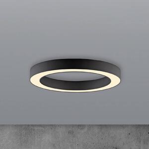 PURE Plafoniera a LED Lines, dimmerabile, Nero, Soggiorno / Sala da pranzo, Alluminio, Moderno, Plafoniera LED