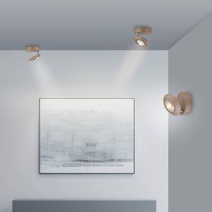 PURE Plafoniera a LED Oculis, dimmerabile, Bronzo / Ottone antico, Soggiorno / Sala da pranzo, Moderno, Plafoniera LED