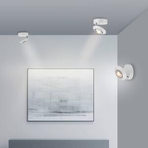 PURE Plafoniera a LED Oculis, dimmerabile, Bianco / Opale, Soggiorno / Sala da pranzo, Moderno, Plafoniera LED