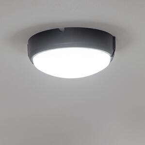 Brilagi - Plafoniera LED industriale SIMA LED/12W/230V IP65 nero