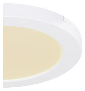 Globo 12379-18W - Plafoniera LED LASSE LED/18W/230V