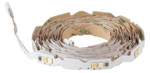 Eglo 99684 - Striscia LED Dimmerabile 3m STRISCIA LED/13,5W/24V 2700-6500K
