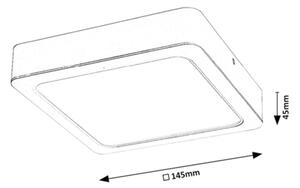 Rabalux 3174 - Plafoniera LED SHAUN LED/12W/230V 14,5 cm