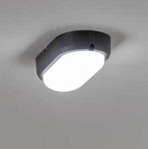 Brilagi - Plafoniera LED industriale SIMA LED/12W/230V IP65 nero