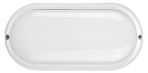 Rabalux 7408 - Lampada LED da soffitto esterna HORT LED/15W/230V IP54 bianco