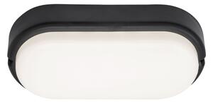 Rabalux 7409 - Lampada LED da soffitto esterna HORT LED/15W/230V IP54 nera