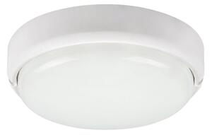 Rabalux 7406 - Lampada LED da soffitto esterna HORT LED/15W/230V IP54 bianco