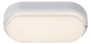 Rabalux 7408 - Lampada LED da soffitto esterna HORT LED/15W/230V IP54 bianco