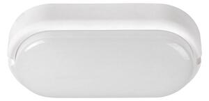 Rabalux 7408 - Lampada LED da soffitto esterna HORT LED/15W/230V IP54 bianco
