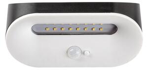 Rabalux 77006 - Luce solare a LED con sensore BREZNO LED/3,2W/3,7V IP44