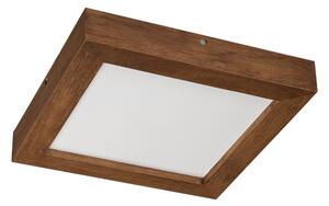 Brilagi-Luce LED dimmerabile WOODY FRAME LED/24W/230V quercia 30x30 cm IP44 + +TC