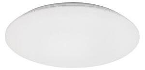Rabalux 71123 - Plafoniera LED RORIK LED/18W/230V 4000K 28 cm
