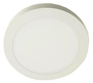 Plafoniera LED GERRIT LED/12W/230V 4000K bianco