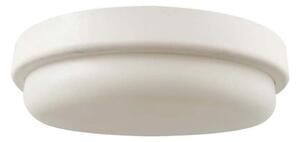 Plafoniera LED da bagno LED/18W/230V 6500K IP54 diametro 19,5 cm