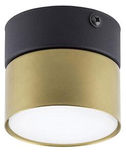 Faretto SPACE GOLD 1xGX53/15W/230V