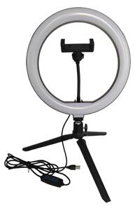 Lampada LED dimmerabile con stativo e supporto per vlog LED/10W/5V 2700-6500K
