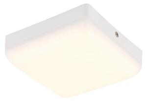 Globo 12388-8W - Plafoniera LED MATTHEW LED/8W/230V bianco