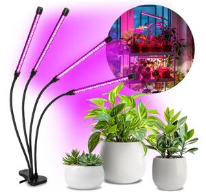Lampada LED dimmerabile con clip per piante VITARO 4xLED/10W/230V nera