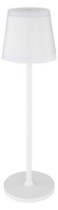 Globo 58433W - Lampada da tavolo LED dimmerabile con funzione Touch RIDLEY LED/4,6W/230V IP54