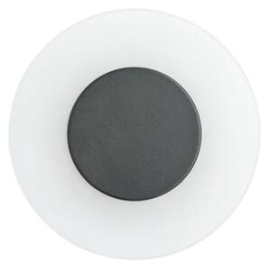 Paulmann 94409 - LED/4W IP44 Applique da esterno CIRCEA 230V