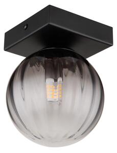 Globo 15216-1 - Plafoniera DALLERTA 1xG9/10W/230V