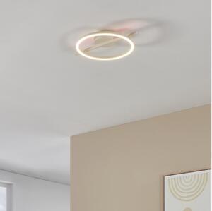 Eglo 901114 - Plafoniera LED dimmerabile AMANDOLO LED/17W/230V bianco + +TC
