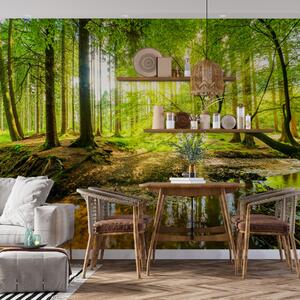 Carta da parati murale Foresta con alberi e sole che splende attraverso gli alberi, Carta da parati popolare, Carta da parati popolare, u93621 - Muralas.it