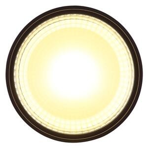 Globo 12007B - Plafoniera LED SERENA LED/12W/230V 3000K