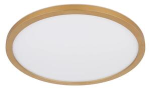 Globo 41562-18MM - Plafoniera LED dimmerabile SAPANA LED/18W/230V IP44