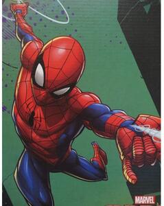 Plaid supereroi bambino Spider Man