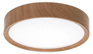 Aigostar - Plafoniera LED LED/12W/230V 6500K diametro 26,3 cm