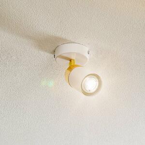 Luminex Spot soffitto Rondo bianco/oro, 1 luce