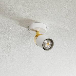Luminex Spot soffitto Rondo bianco/oro, 1 luce