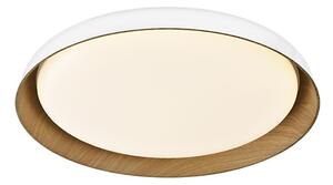 Top Light-Plafoniera LED dimmerabile SATELLITE LED/48W/230V 3000-6500K bianco + +TC