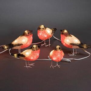 Konstsmide Christmas Set di cinque pettirossi illuminati a LED