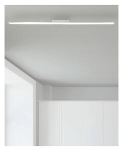 Brilliant - Pannello LED dimmerabile CHARLA LED/22W/230V 7x120 cm 3000K