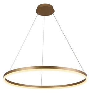 Brilagi - Lampada a sospensione LED dimmerabile a cavo CIRCLE LED/55W/230V 3000-6500K dorata + telecomando