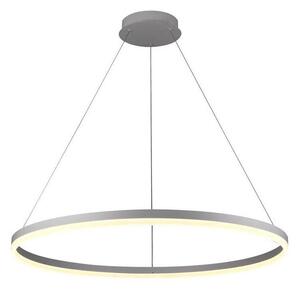 Brilagi -LED Lampadario dimmerabile sospeso a cavo CIRCLE LED/55W/230V 3000-6500K argento + telecomando