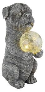 Globo - Decorazione solare LED/0,02W/3V IP44 cane
