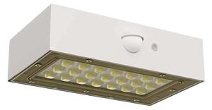 LED Proiettore solare con sensore di movimento LED/3,7V 1200mAh 4000K IP65 bianco