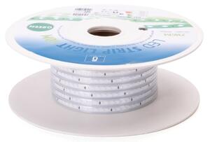 Aigostar - Striscia LED 350W/230V 50m verde IP65