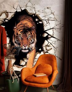 Carta da parati tigre 3D, Carta da parati 3D, u97031 : Uwalls.it