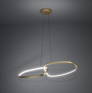 Eglo 390205 - Lampadario a sospensione con filo LED dimmerabile LODOSA LED/37,5W/230V 3000K