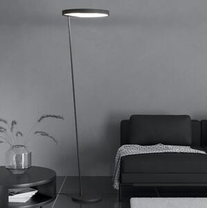Eglo 390167 - Lampada da terra dimmerabile a LED CAREDARA LED/23W/230V 3000K