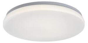 Rabalux 77140 - Plafoniera LED per il bagno con sensore LOWAR 24W/230V 4000K IP44